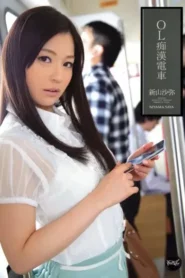 IPZ-169 Kereta Mesum Wanita Kantoran – Saya Niyama