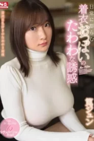 SSNI-762 Imajinasi Liar Melihat Toket Gede – Jun Kakei